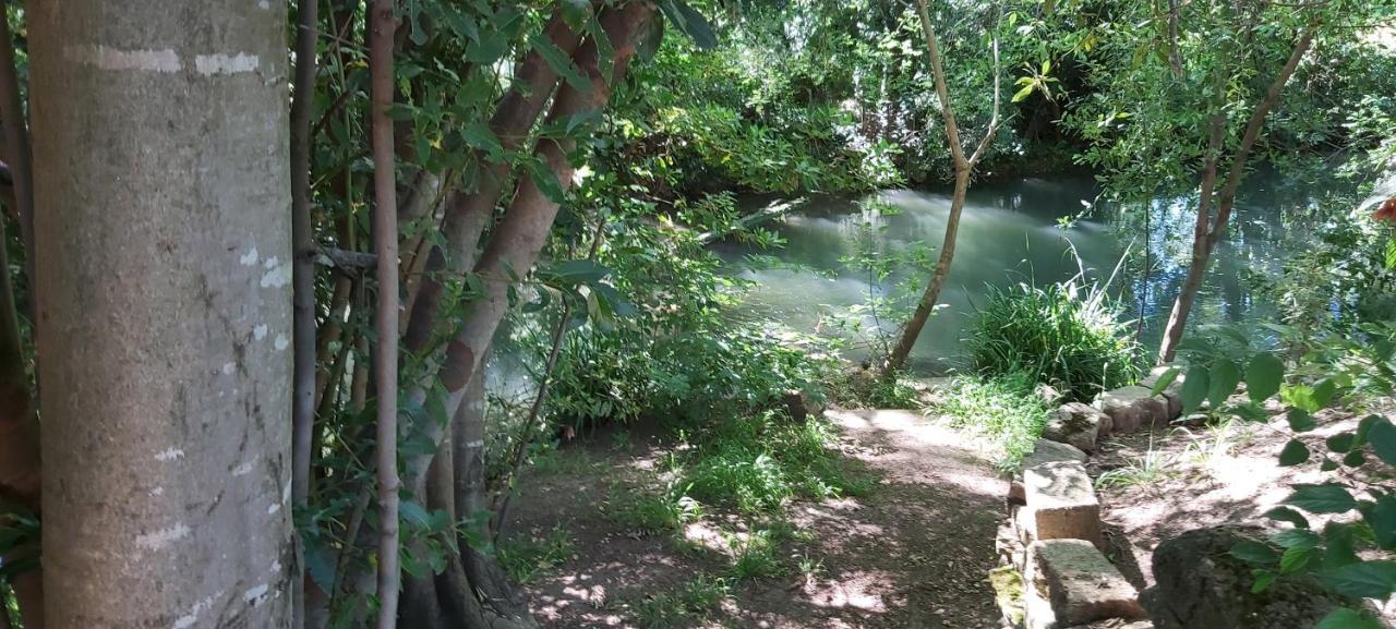 Au Bord De L'Alzon Apartment Uzes Bagian luar foto