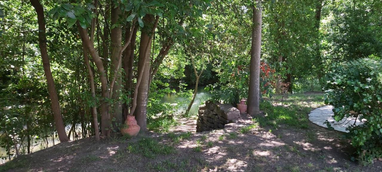 Au Bord De L'Alzon Apartment Uzes Bagian luar foto